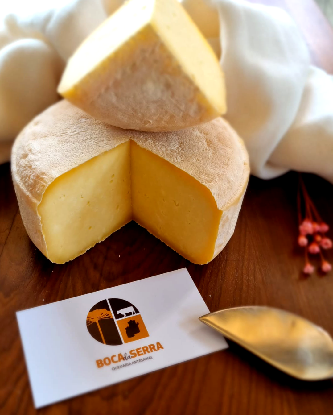 Queijo artesanal cortado em cunha junto à marca da Queijaria Boca da Serra · imagem de acervo