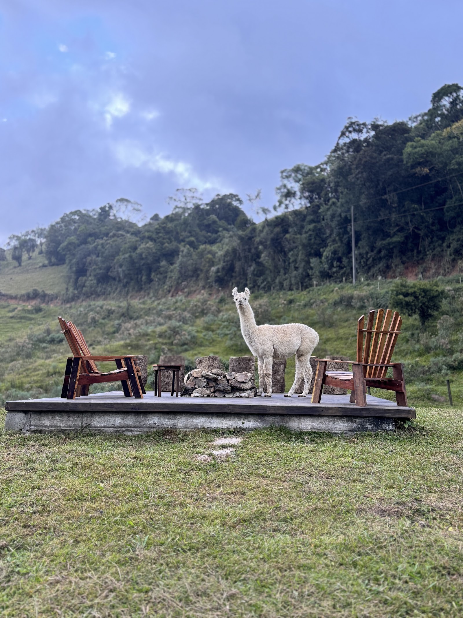 Animal da fazendinha junto a um deck com cadeiras e paisagem rural na RJ Off-Road & Fazendinha